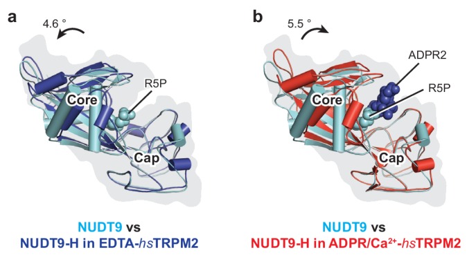 Figure 6—figure supplement 1.