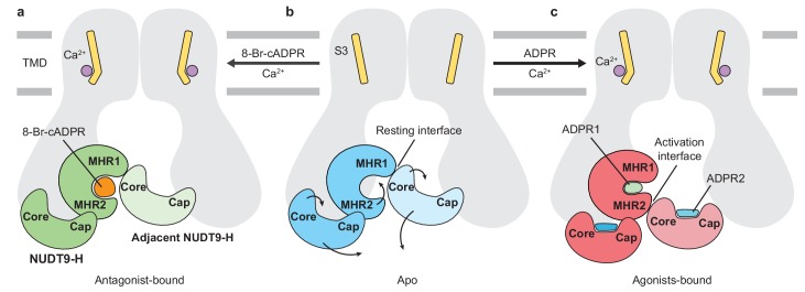 Figure 6.