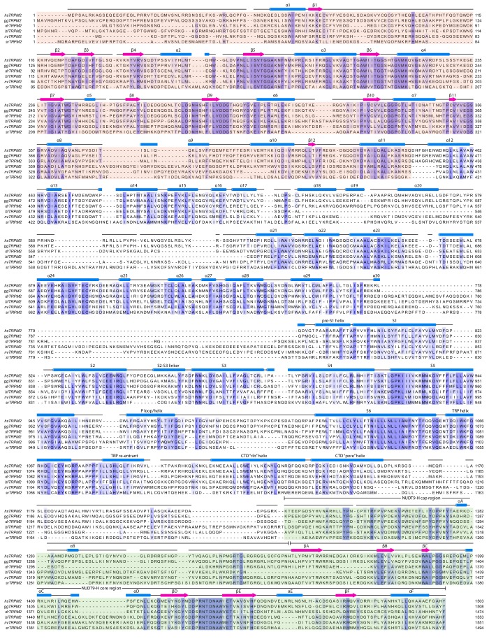 Figure 2—figure supplement 1.