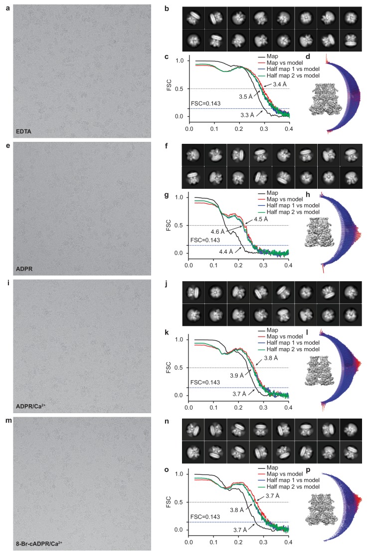 Figure 1—figure supplement 2.