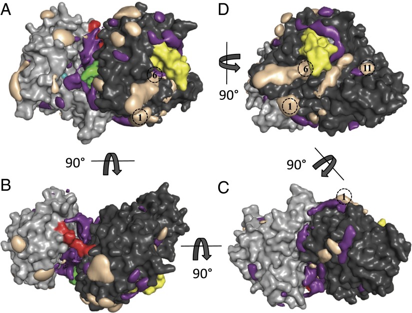 Fig. 4.