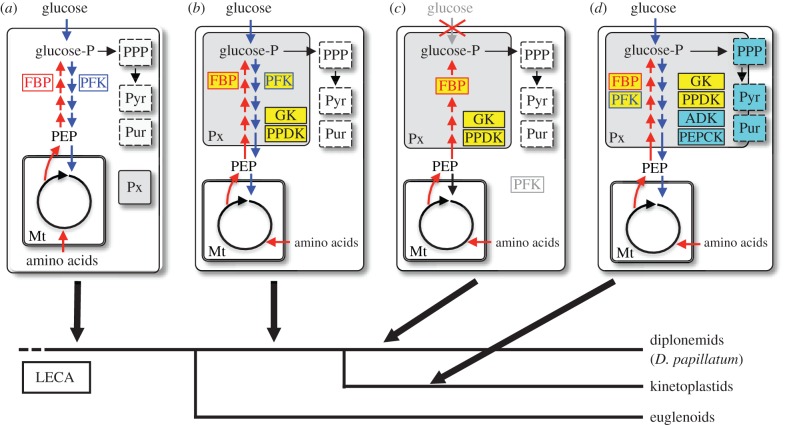 Figure 4.