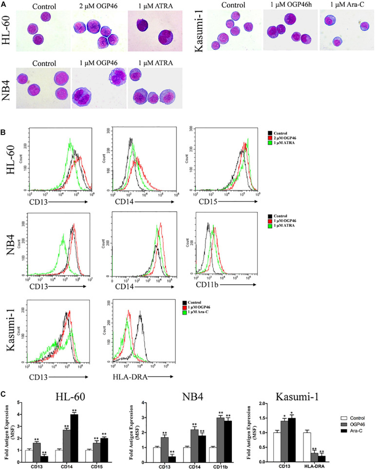 FIGURE 4