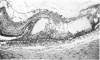 208-2