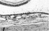 206-2