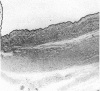 210-1