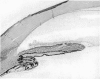210-2