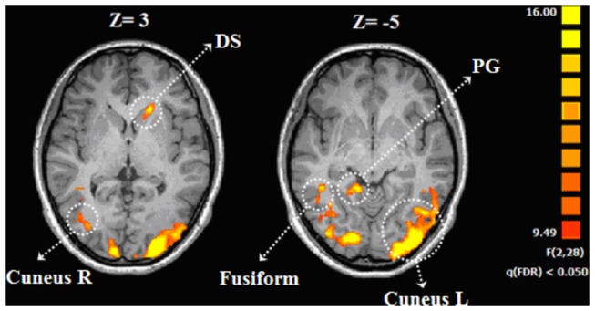 Figure 5