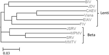 Fig. 6