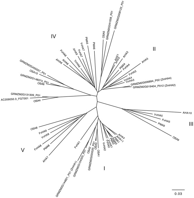 FIGURE 4