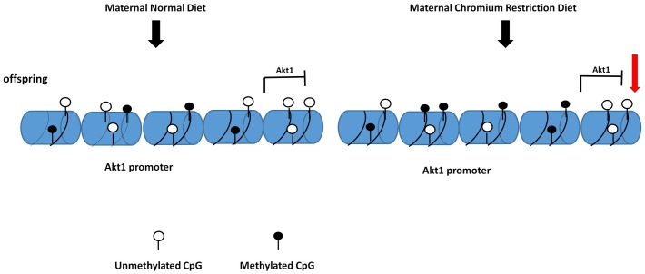 Fig 5