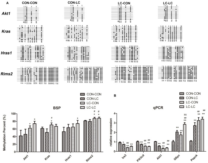 Fig 4