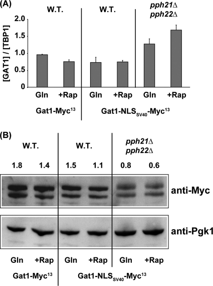 FIG. 7.