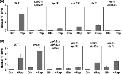 FIG. 10.