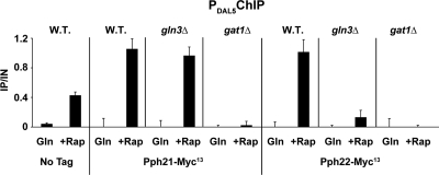 FIG. 8.