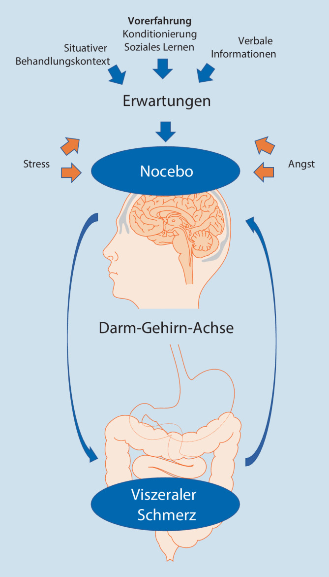 graphic file with name 482_2021_614_Fig1_HTML.jpg