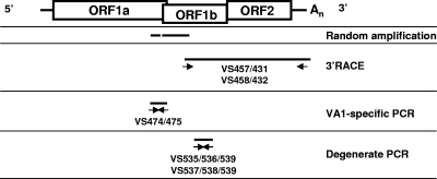 FIG. 1.