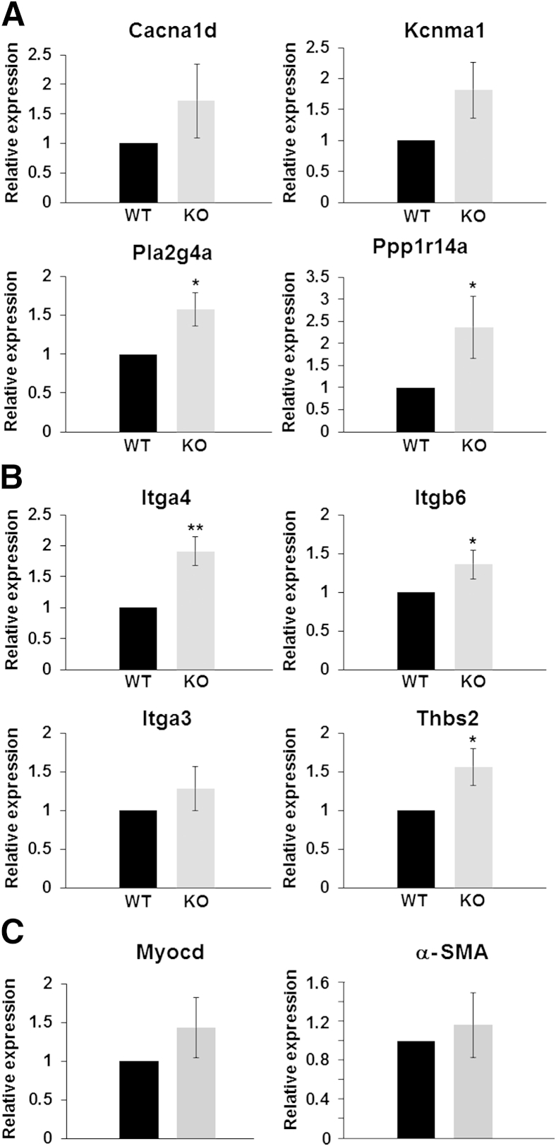 Figure 6