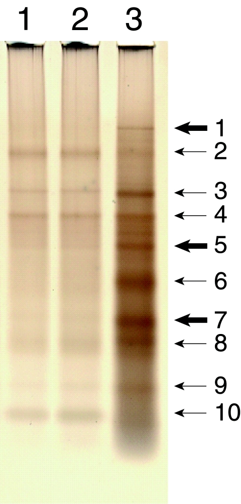 FIG. 6.