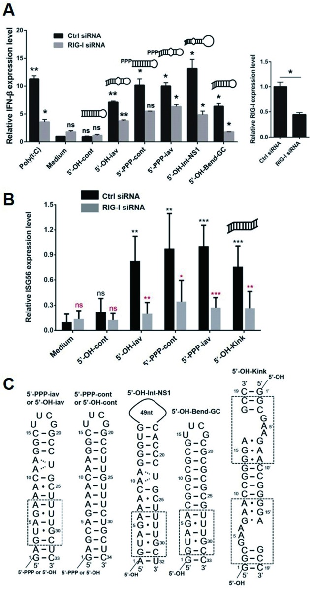 Figure 5.