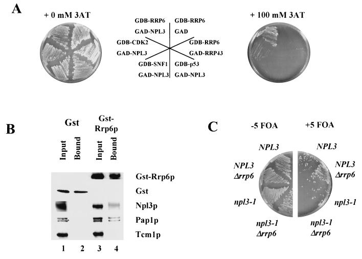 FIG. 10