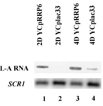 FIG. 7