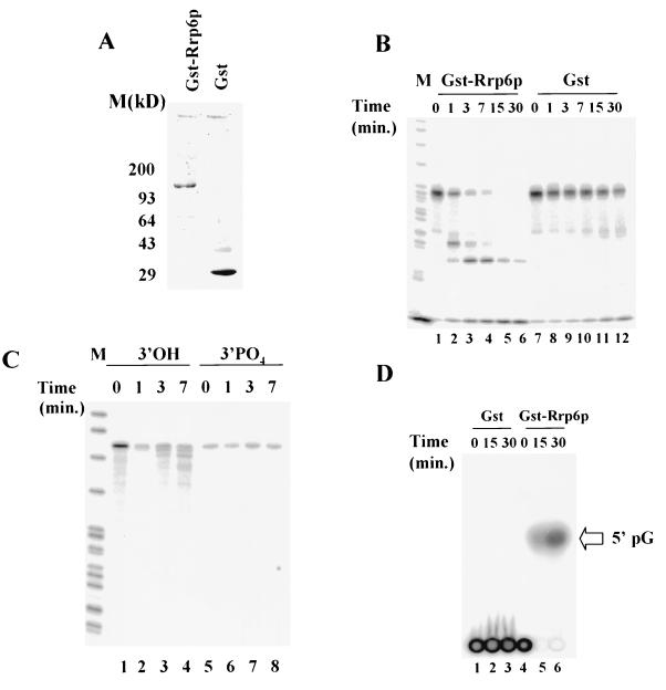 FIG. 9