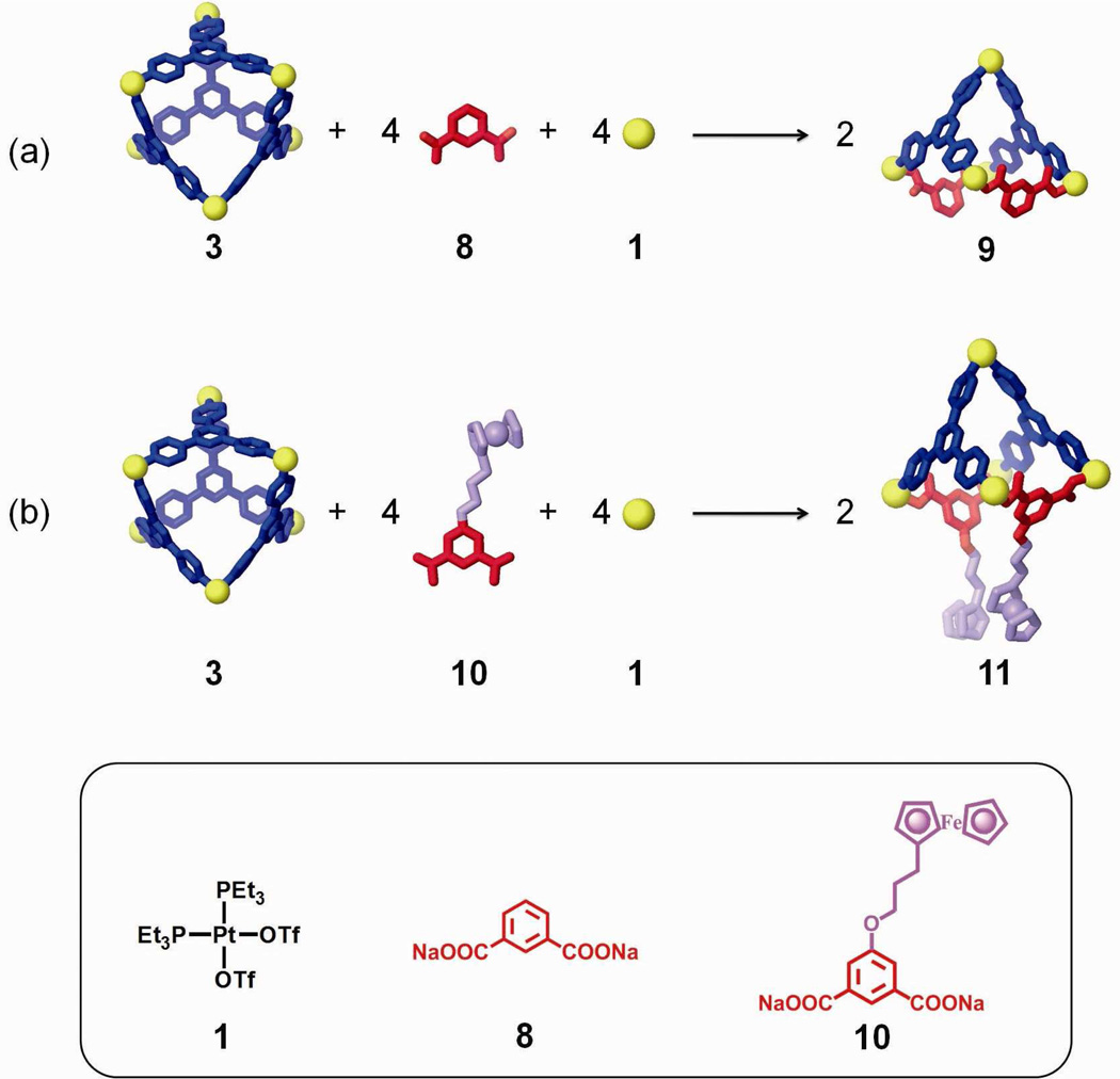 Scheme 4