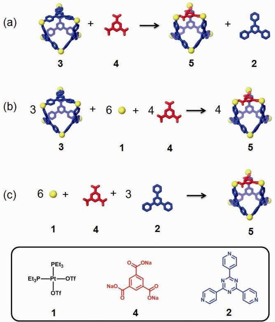 Scheme 2