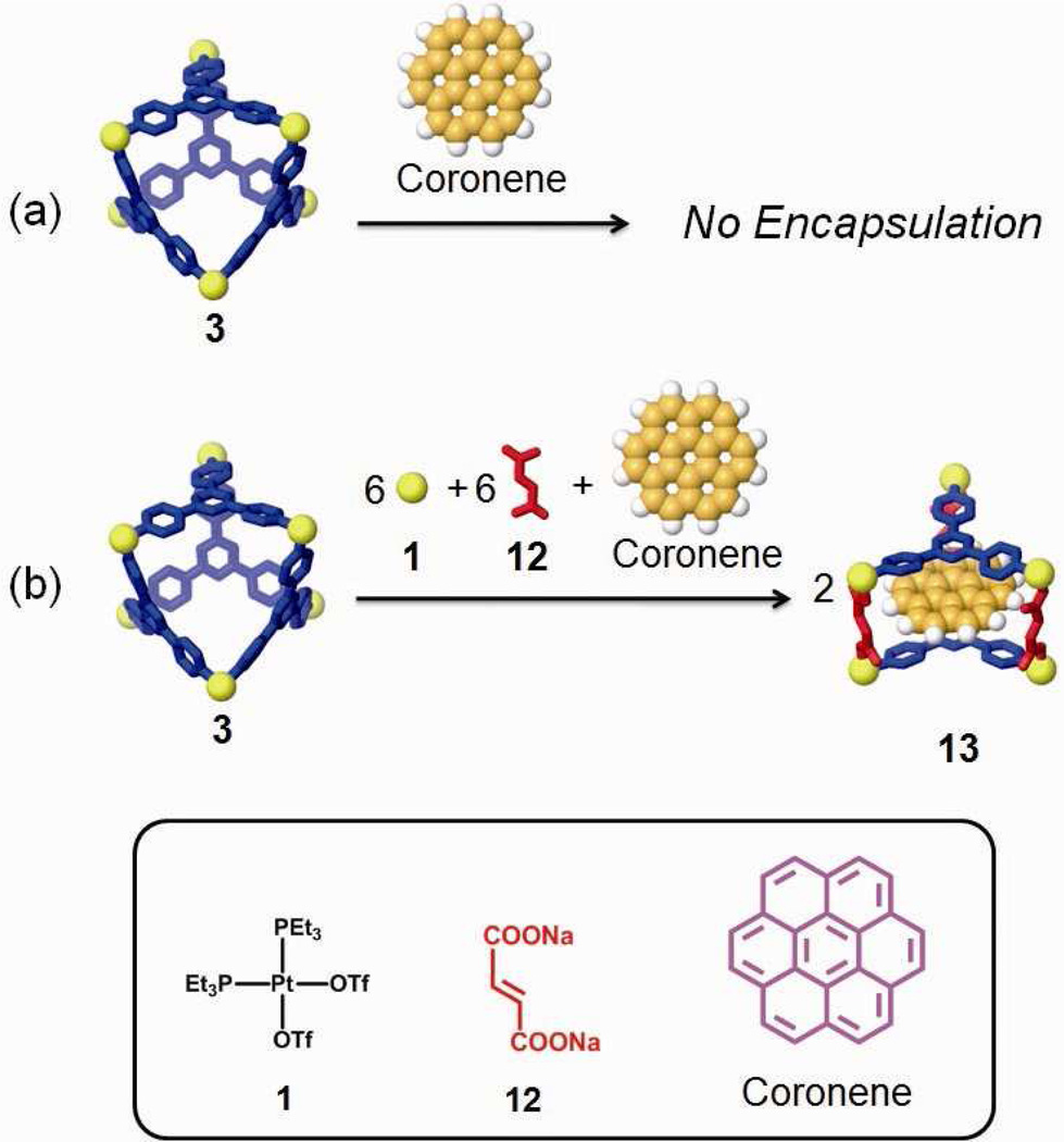 Scheme 5