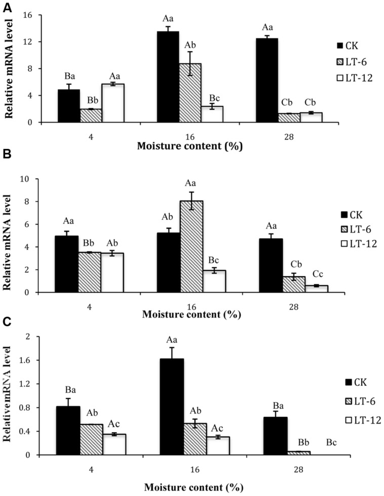 FIGURE 4