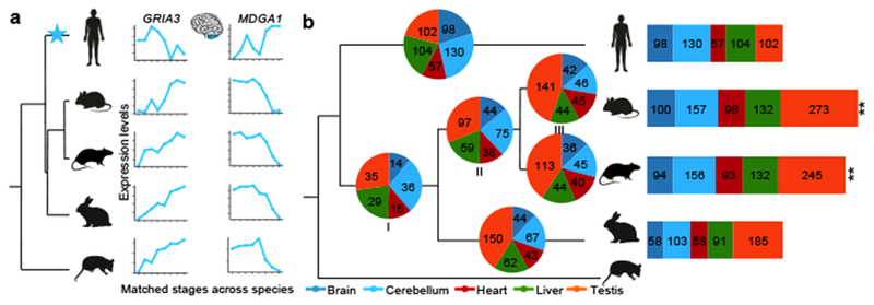 Figure 4 |