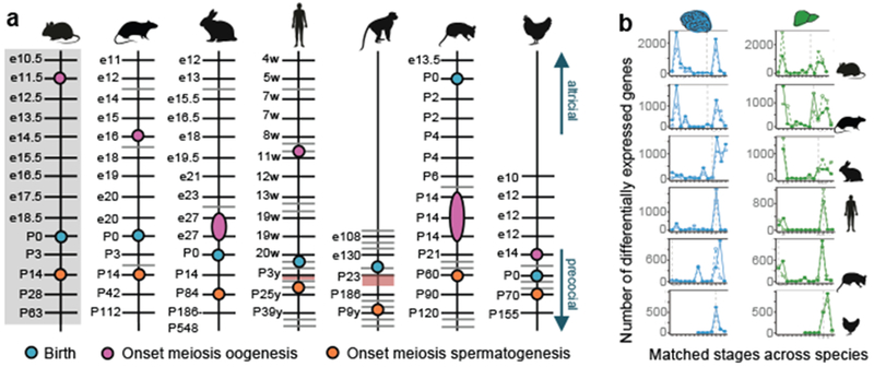 Figure 2 |