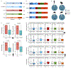 Extended Data Figure 10 |