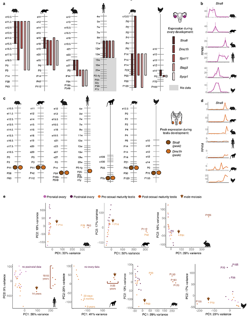 Extended Data Figure 7 |