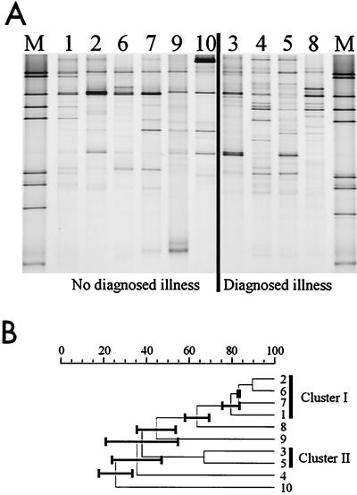 FIG. 5.