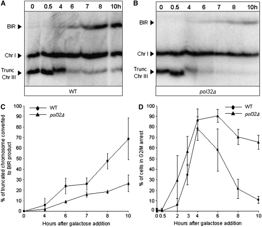 Figure 2.—