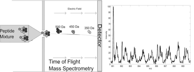 Fig. (2)