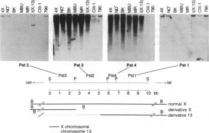 graphic file with name pnas01080-0149-a.jpg