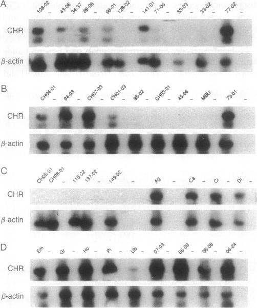 graphic file with name pnas01080-0150-a.jpg