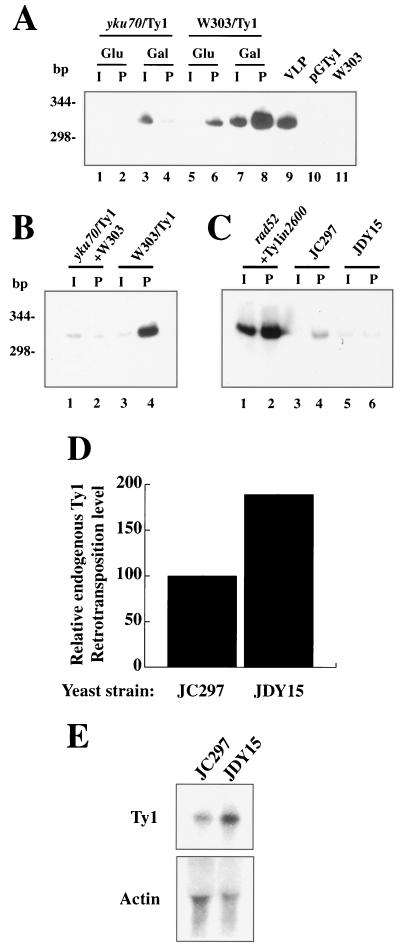 FIG. 6