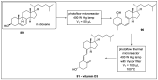 Scheme 27