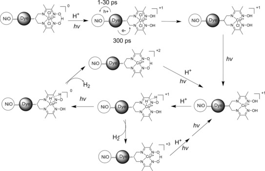 Scheme 3