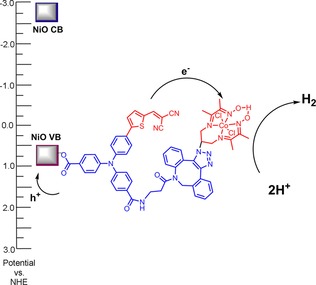 Figure 13