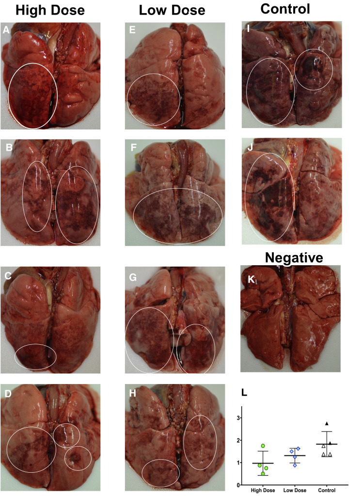 Figure 4