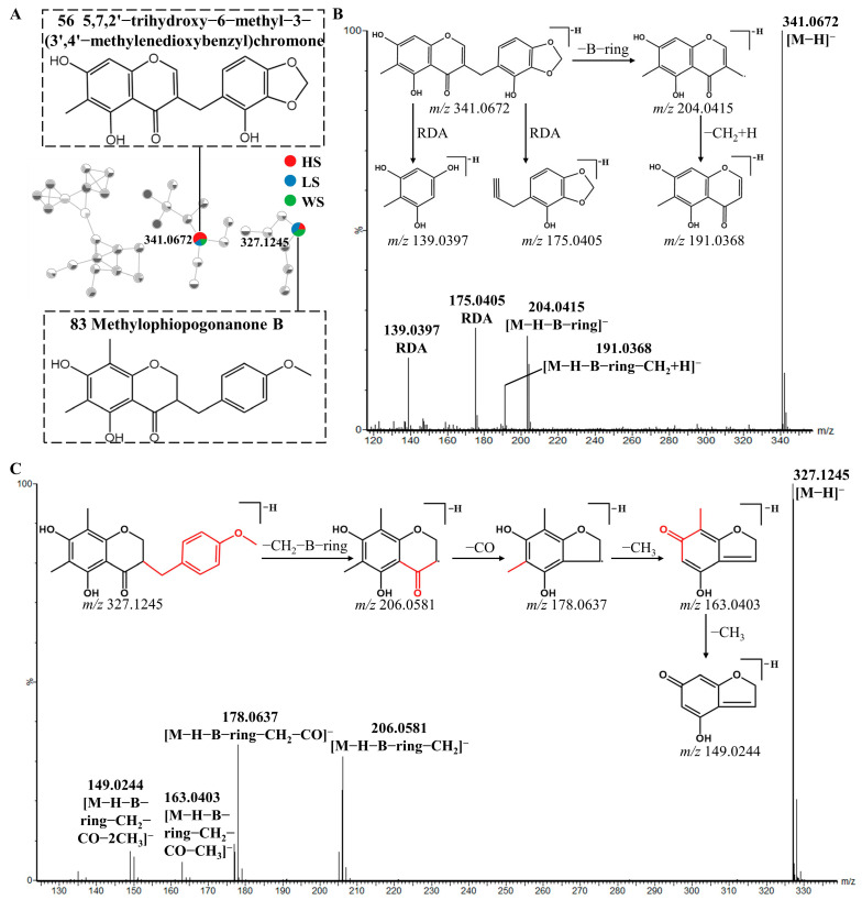 Figure 5