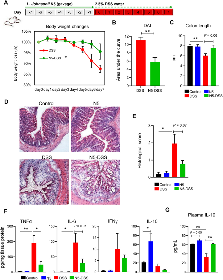 Fig. 4