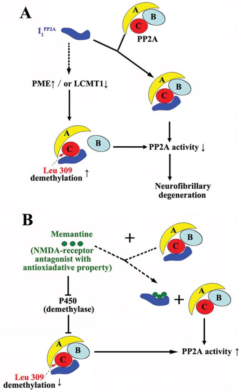 Fig 9