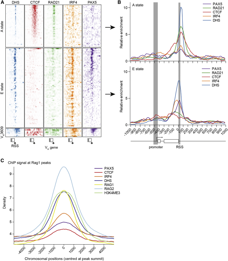 Figure 6