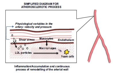 Fig. (1)